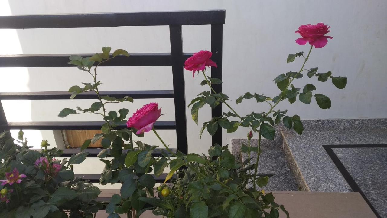 Mai Dalat Homestay Esterno foto
